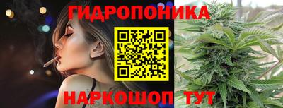 дживик Шелехов