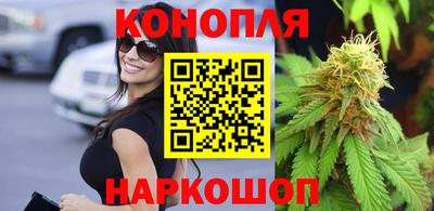 дживик Шелехов