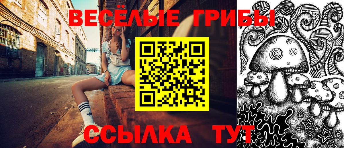 Псилоцибиновые грибы прущие грибы  Вход с VPN  Ахтубинск 